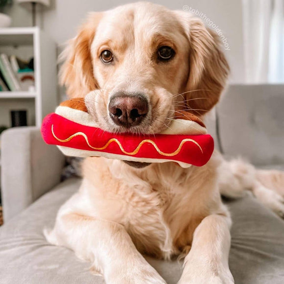 🐾 Fetch Favorites 🐾