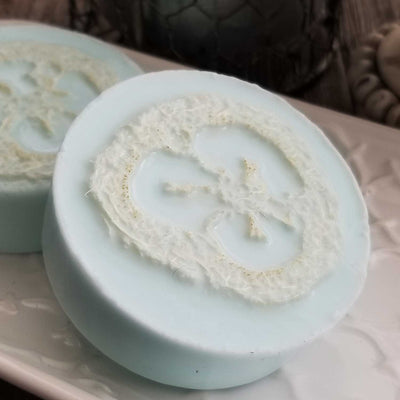 Blue Agave Loofah Soap